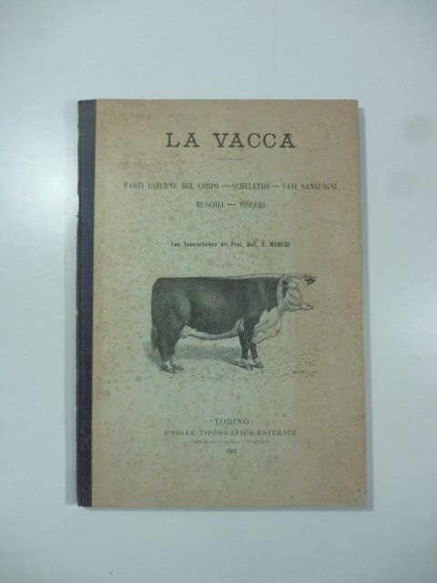 La vacca. Parti esterne del corpo, scheletro, vasi sanguigni, muscoli, …