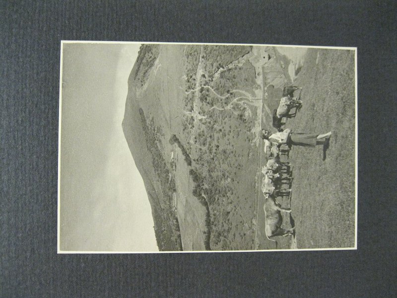 Lago di Como. Alpe Boffalora. Fotografia originale