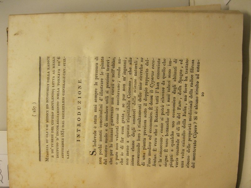 Memoria su gli usi medici ed economici della radice e …