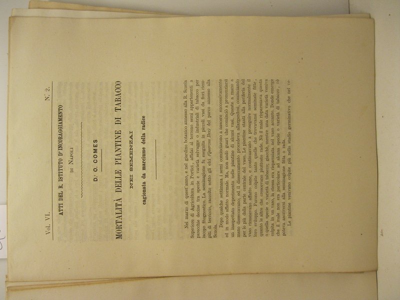 Mortalita' delle piantine di tabacco nei semenzai cagionata dal marciume …