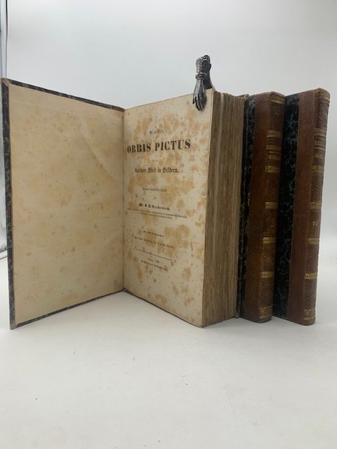 Neuester orbis pictus oder die sichtbare Welt in Bildern ein … | Immagine principale