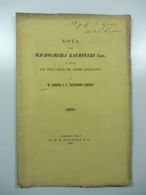 Nota sulla macrocheira kaempferi sieb. e sopra una nuova specie …