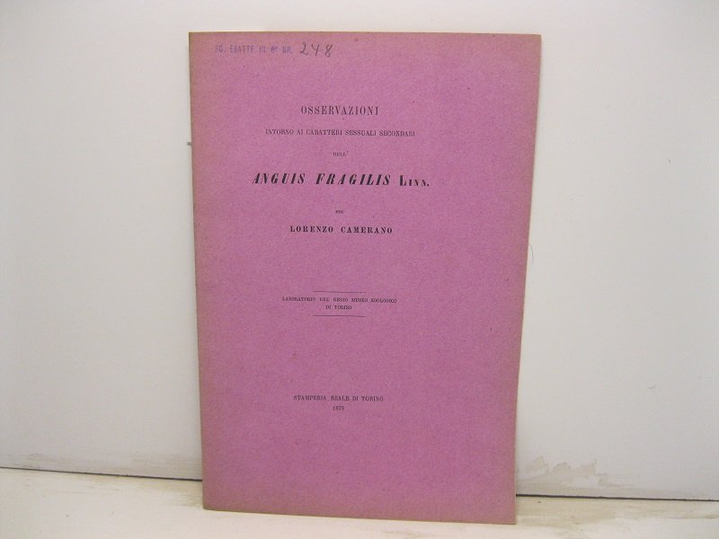 Osservazioni intorno ai caratteri sessuali secondarii dell'anguis fragilis linn.