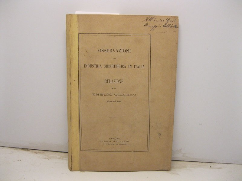 Osservazioni sulla industria siderurgica in Italia. Relazione