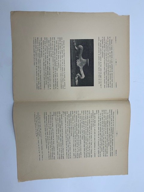 Paderno presso Ancona. Scoperta di un piede di candelabro in …