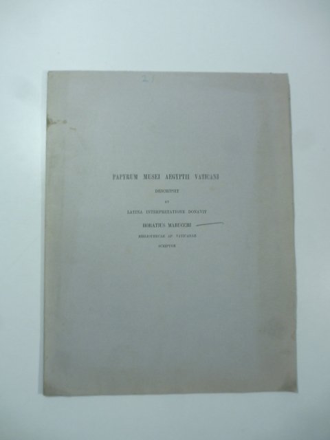 Papyrum Musei Aegyptii Vaticani descripsit et latina interpretatione donavit