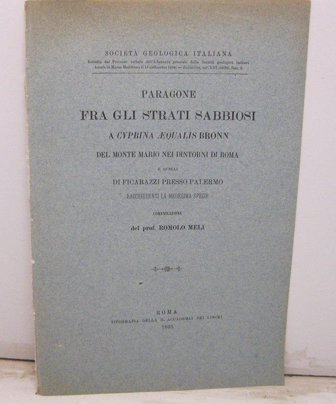 Paragone fra gli strati sabbiosi a Cyprina Aequalis Bronn del …