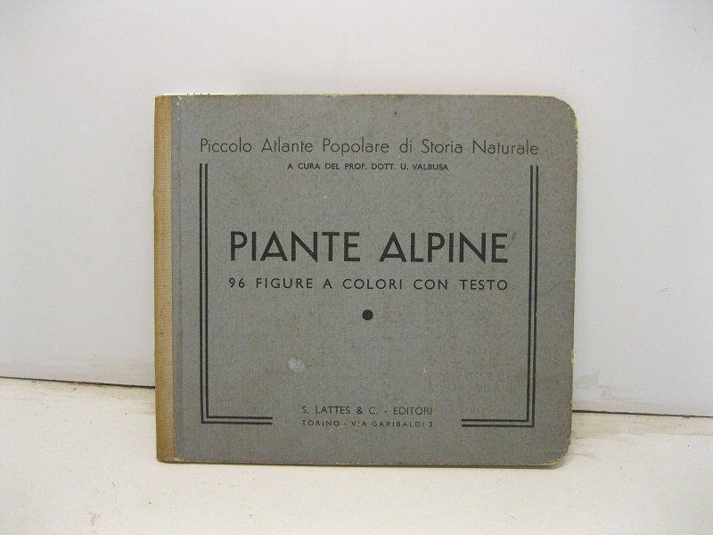 Piante alpine. 96 figure a colori con testo | Immagine principale
