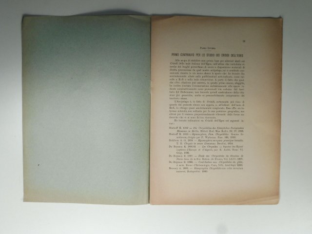 Primo contributo per lo studio dei crisidi dell'Egeo