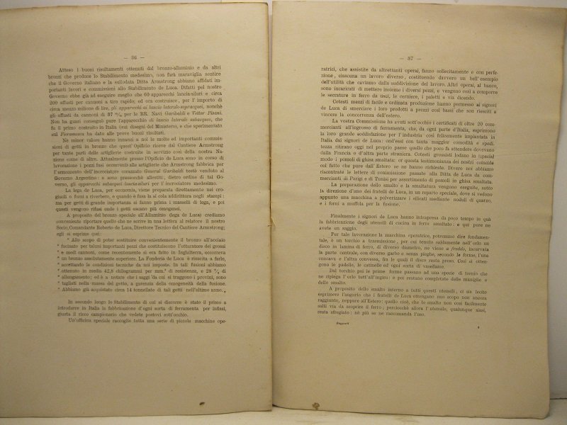 Rapporto intorno ai nuovi prodotti dell'opificio Carmine De Luca e …