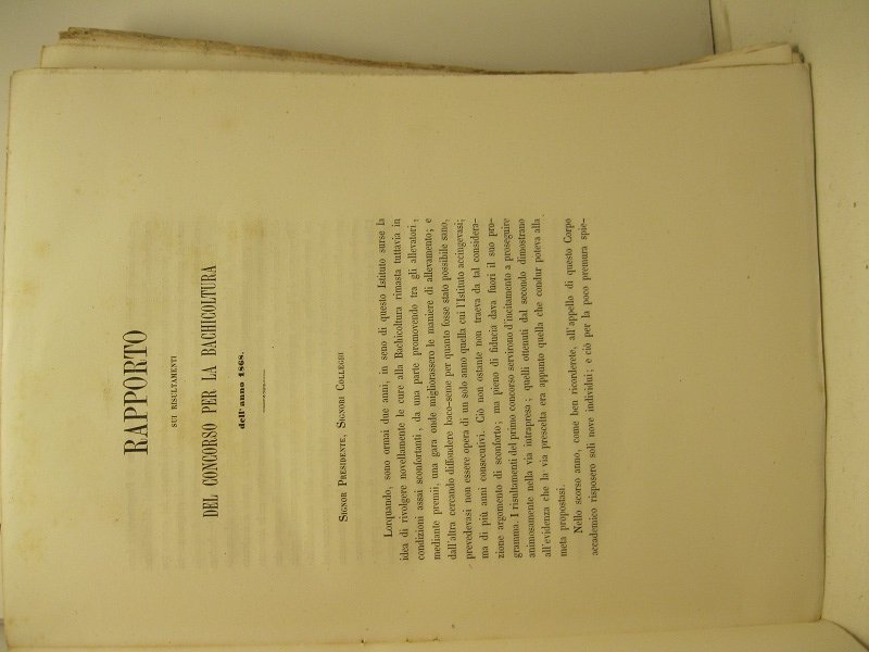 Rapporto sui risultamenti del concorso per la bachicoltura dell'anno 1868