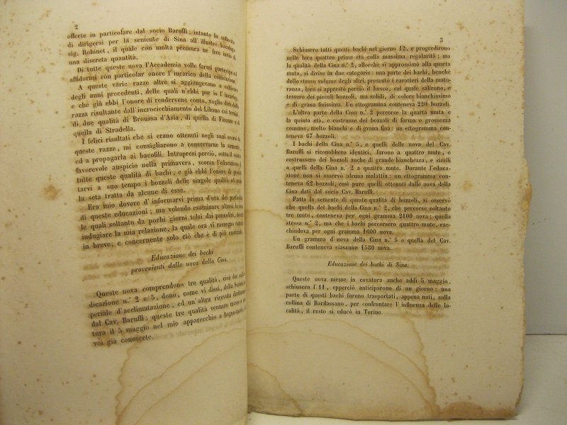 Relazione intorno all'educazione di varie razze di bachi da seta …