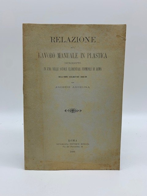Relazione sul lavoro manuale in plastica introdotto in una delle …