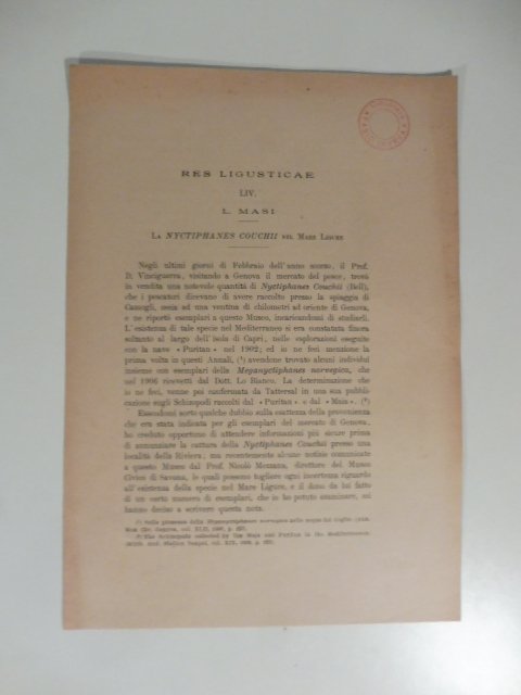 Res ligusticae. La nyctiphames couchii nel Mare Ligure