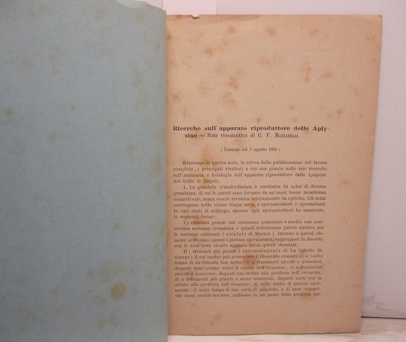 Ricerche sull'apparato riproduttore delle Aplysiae (tornata del 3 agosto 1890)