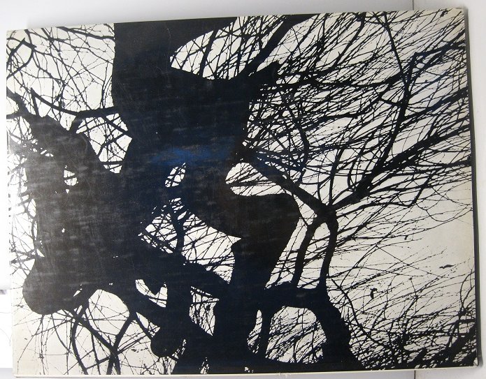 Riva di Po. Fotografie di Harold Null con una prefazione …