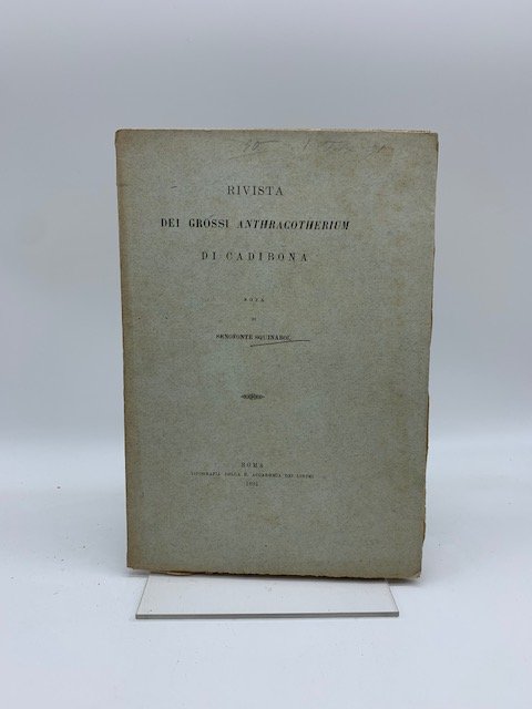 Rivista dei grossi anthracotherium di Cadibona