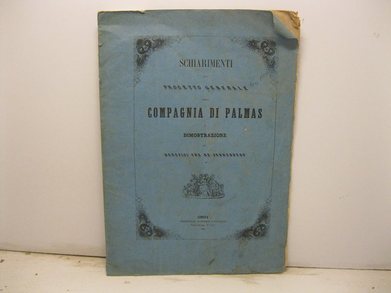 Schiarimenti sul progetto generale della Compagnia di Palmas e dimostrazioni …