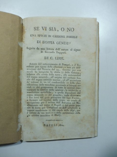 Se vi sia, o no una specie di carbone fossile …