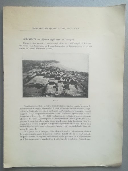 Selinunte. Ripresa degli scavi sull'Acropoli