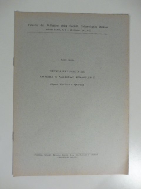 Smicromyrme partita parassita di philanthus triangulum