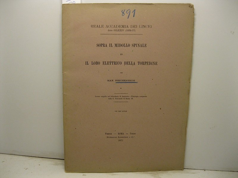 Sopra il midollo spinale ed il lobo elettrico della torpedine. …