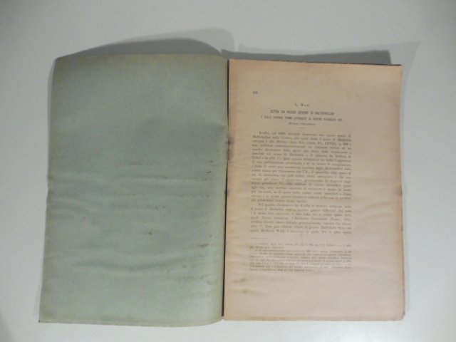 Sopra un nuovo genere di haltichellini e sulle diverse forme …