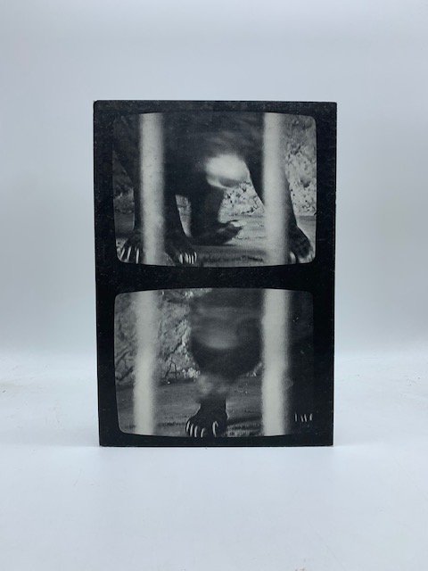 Sosta vietata presenta dal 5 novembre al 5 dicembre 1994 …