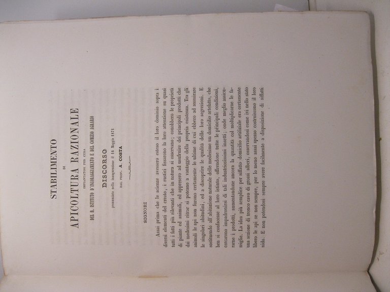 Stabilimento di apicoltura razionale impiantatosi per cura del R. Istituto d'Incoraggiamento e del Comizio Agrario. Discorso pronunziato nella inaugurazione il 16 maggio 1871