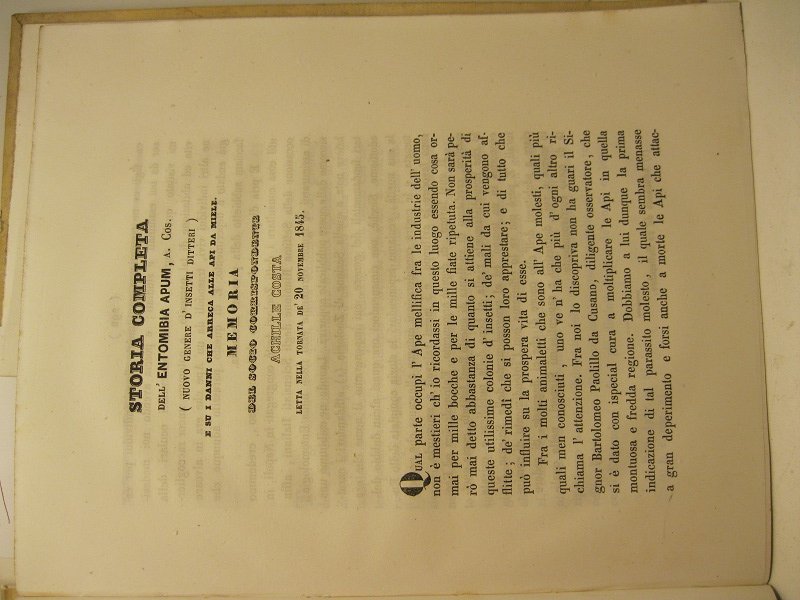 Storia completa dell'entomibia apum, A. Cos. (nuovo genere d'insetti ditteri) …