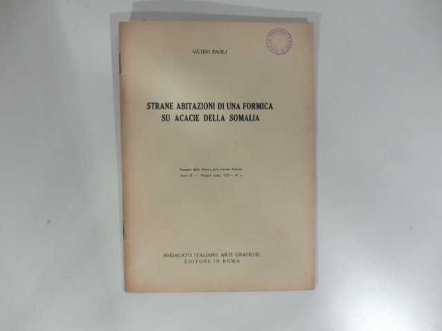 Strane abitazioni di una formica su acacie della Somalia. Estratto …