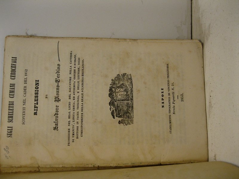 Sugli scheletri cumani cerocefali scoverti nel cader del 1852. Riflessioni