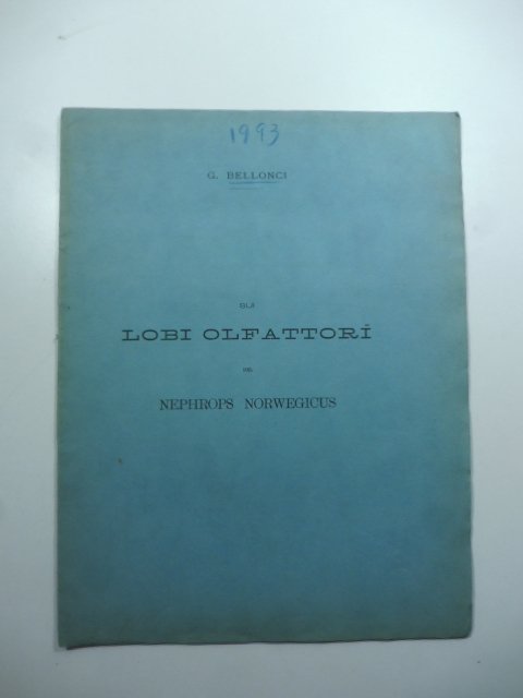 Sui lobi olfattori del Nephrops norwegicus. Memoria