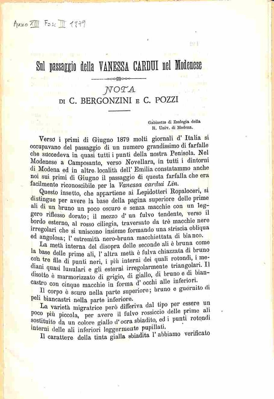 Sul passaggio della Vanessa cardui nel MOdenese