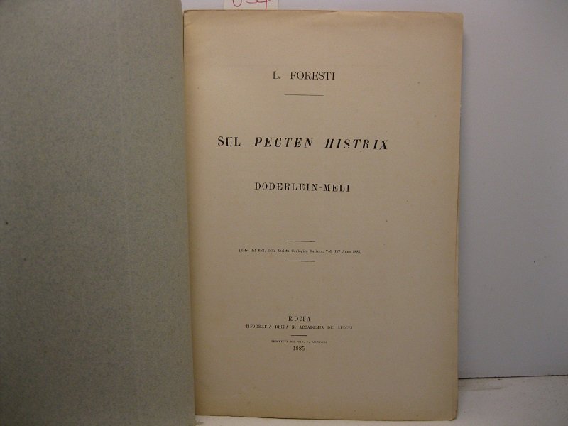 Sul pecten histrix doderlein-meli