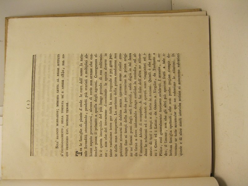Sull'arancio mandarino. Memoria letta al Reale Istituto d'Incoraggiamento.