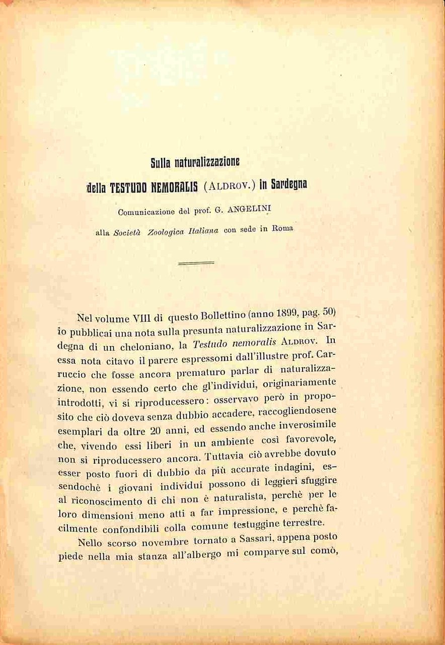 Sulla naturalizzazione della Testudo nemoralis in Sardegna