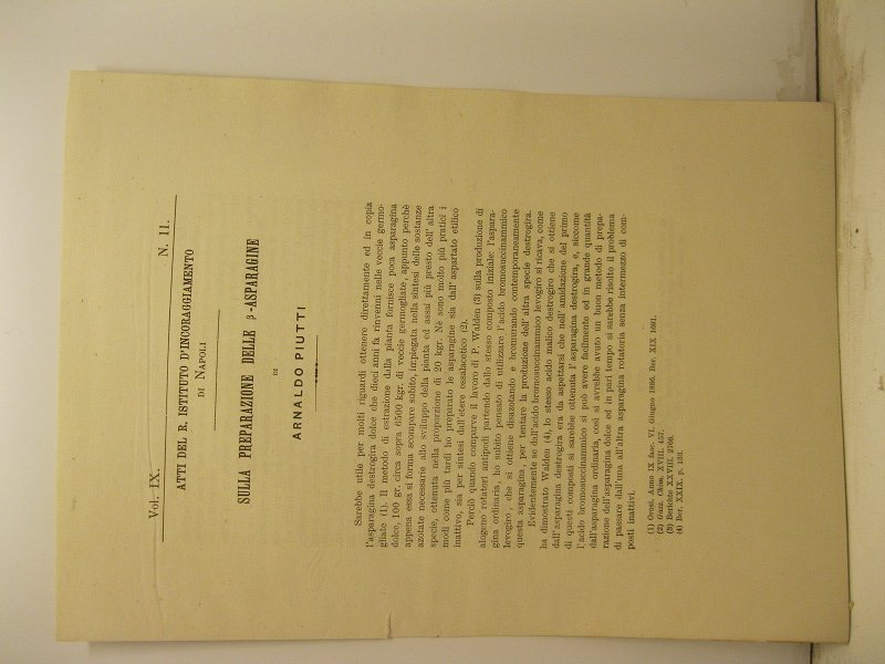 Sulla preparazione delle B-asparagine