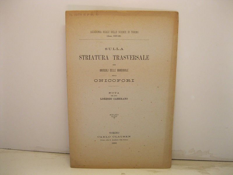 Sulla striatura trasversale dei muscoli delle mandibole negli onicofori