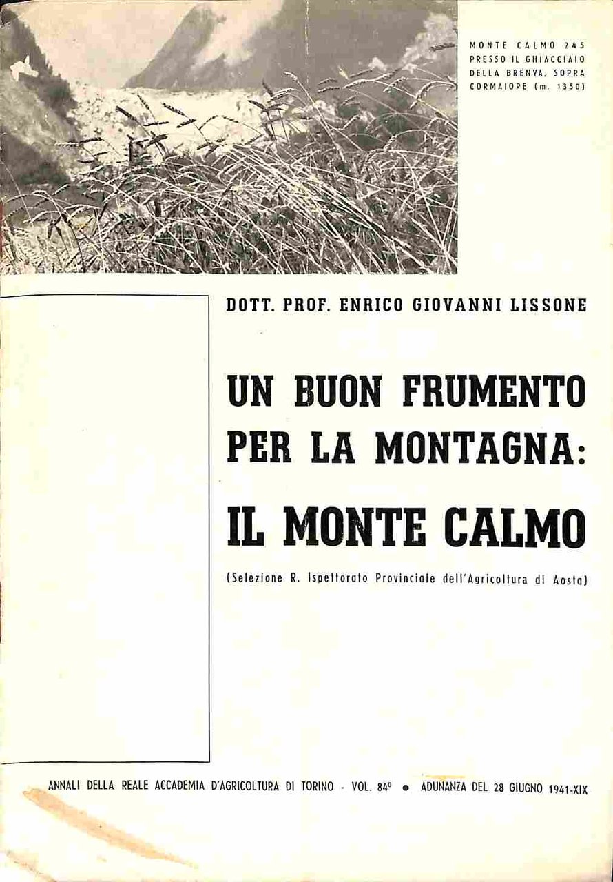 Un buon frumento per la montagna: il monte Calmo