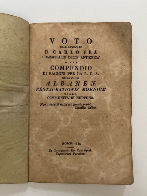 Voto dell'avvocato D. Carlo Fea commissario delle antichita' o sia …
