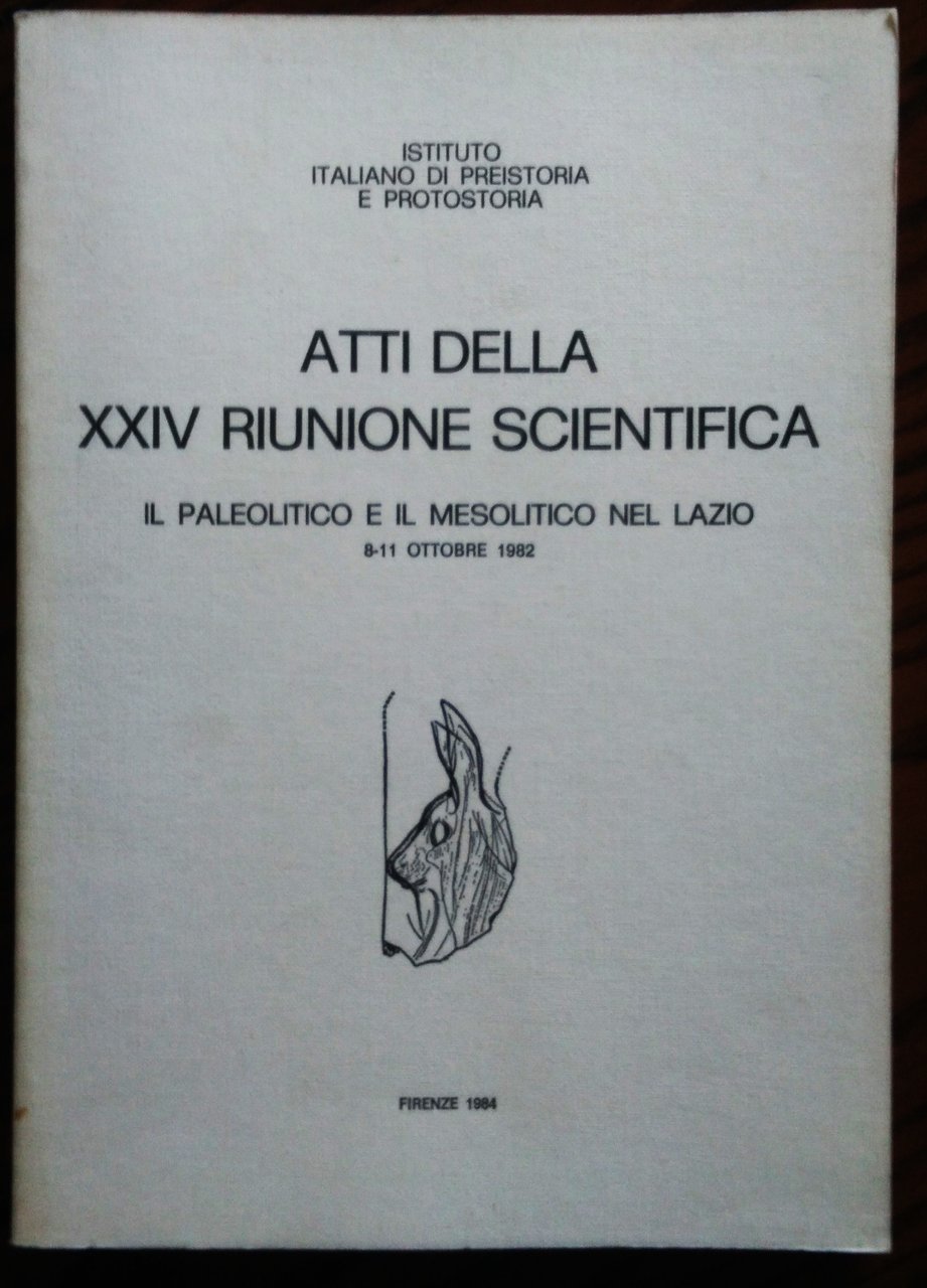 Atti della XXIV riunione scientifica. Il paleolitico e il mesolitico …