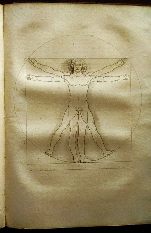 Del cenacolo di Leonardo da Vinci. Libri quattro.