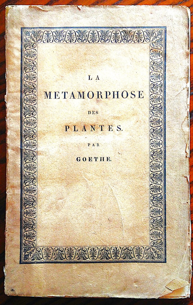 ESSAI SUR LA METAMORPHOSE DES PLANTES.TRADUIT PAR F. SORET ET …