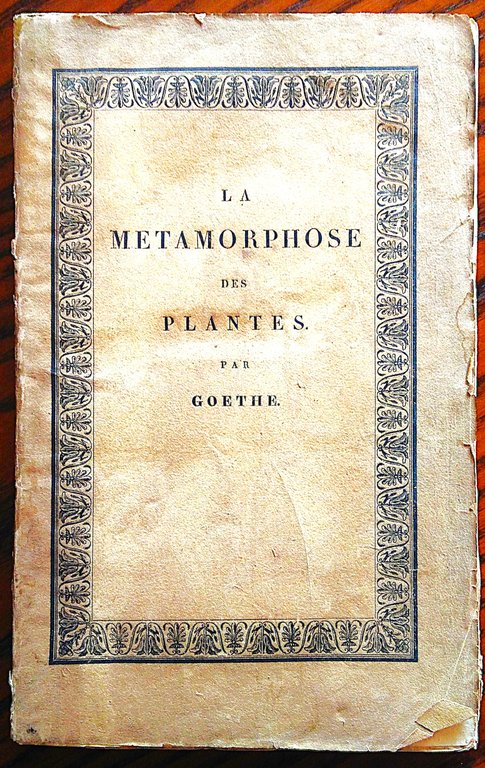 ESSAI SUR LA METAMORPHOSE DES PLANTES.TRADUIT PAR F. SORET ET … | Immagine Gallery 1