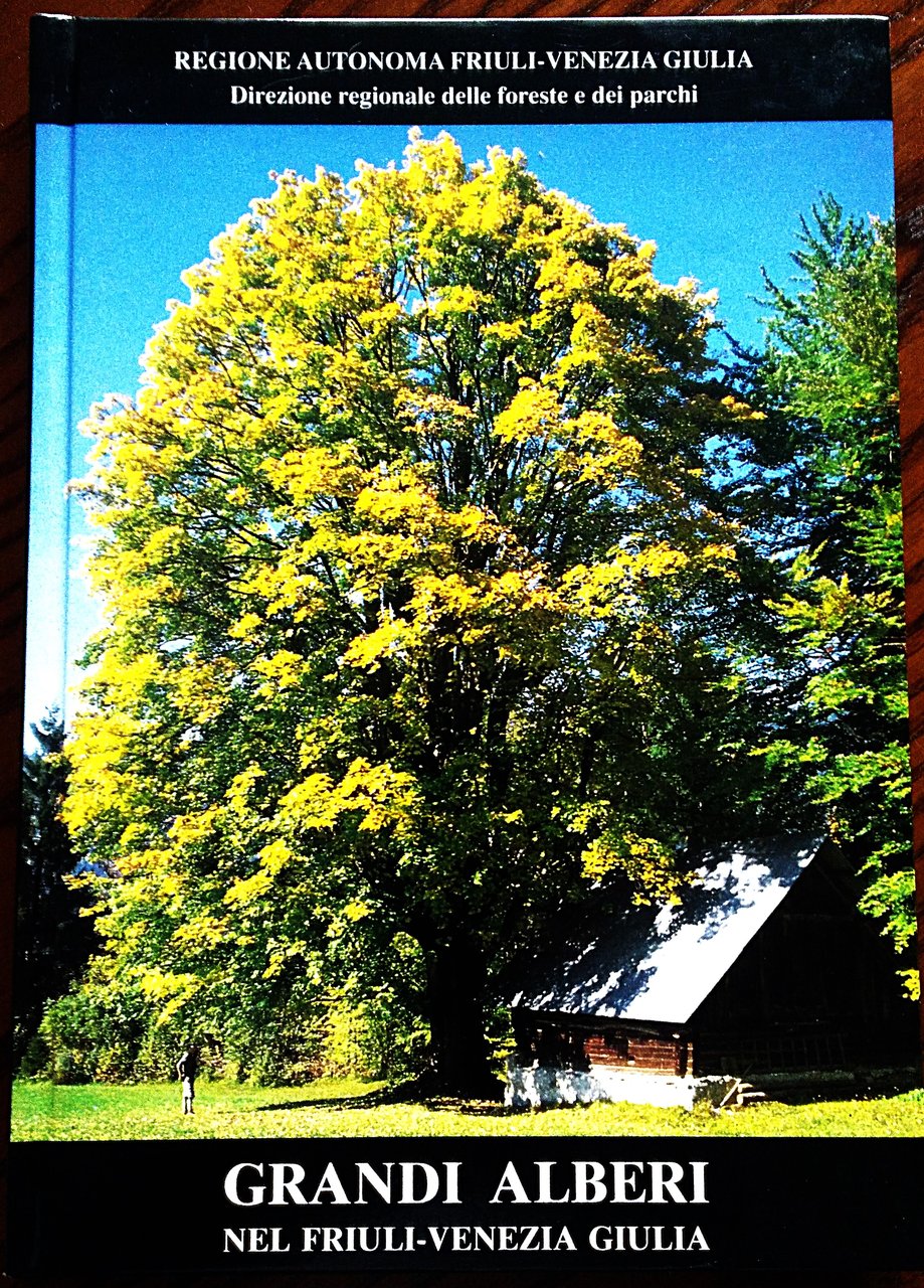 Grandi alberi nel Friuli-Venezia Giulia.