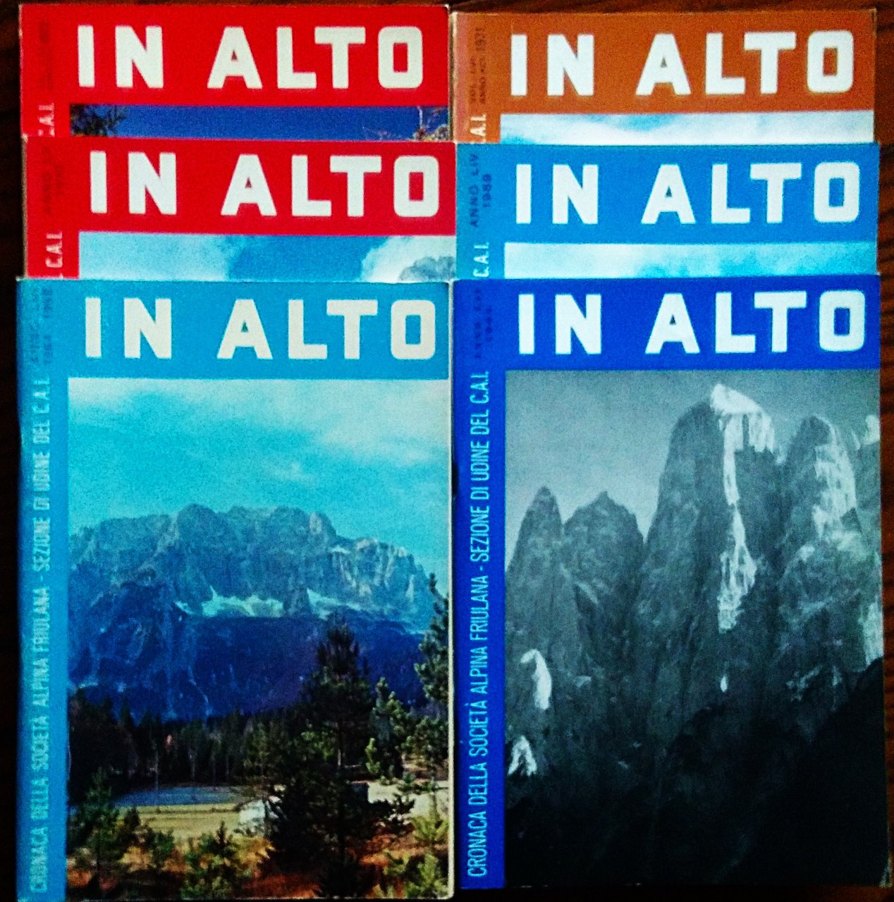 IN ALTO. Cronaca della Società Alpina Friulana. Sezione di Udine …