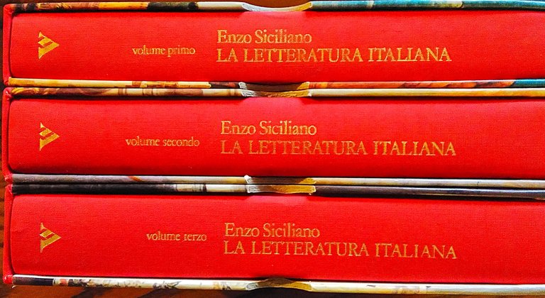 La letteratura italiana.