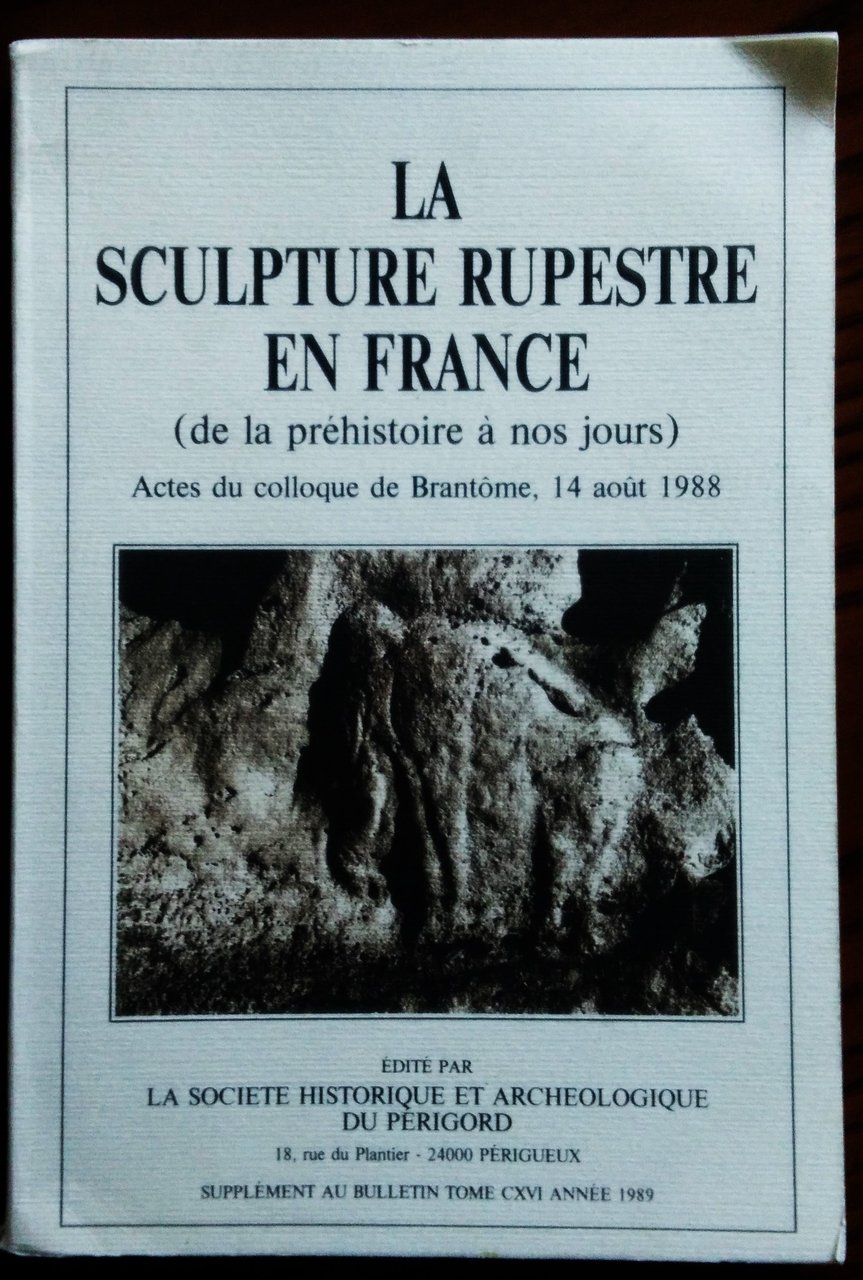 La sculpture rupestre en France (de la préhistoire à nos …