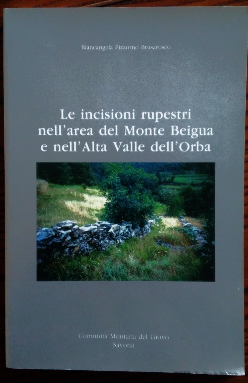 Le incisioni rupestri nell'area del Monte Beigua e nell'Alta Valle …